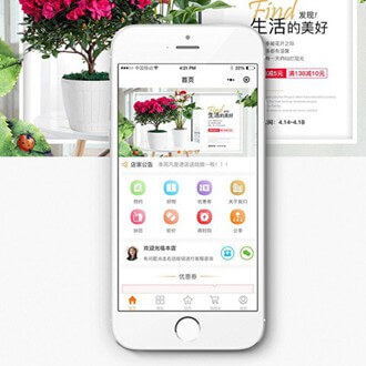 西青门店微商城小程序开发